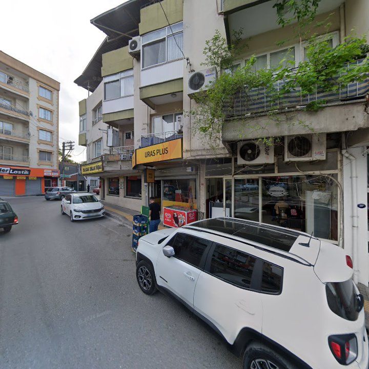 Fotoğraf 8