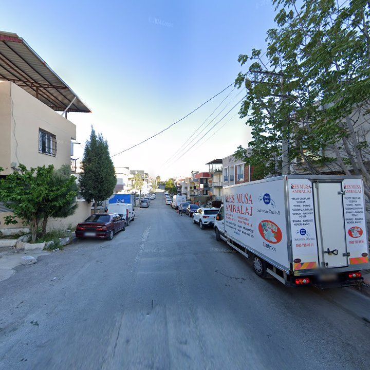 Fotoğraf 4