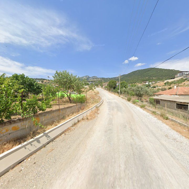 Fotoğraf 8