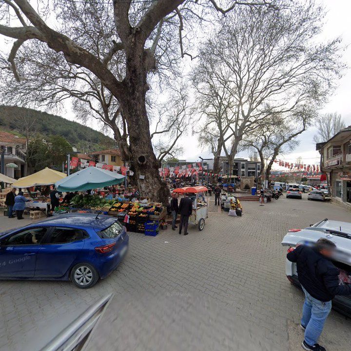 Fotoğraf 7