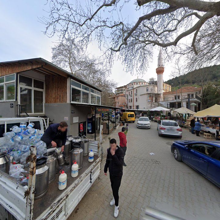 Fotoğraf 6