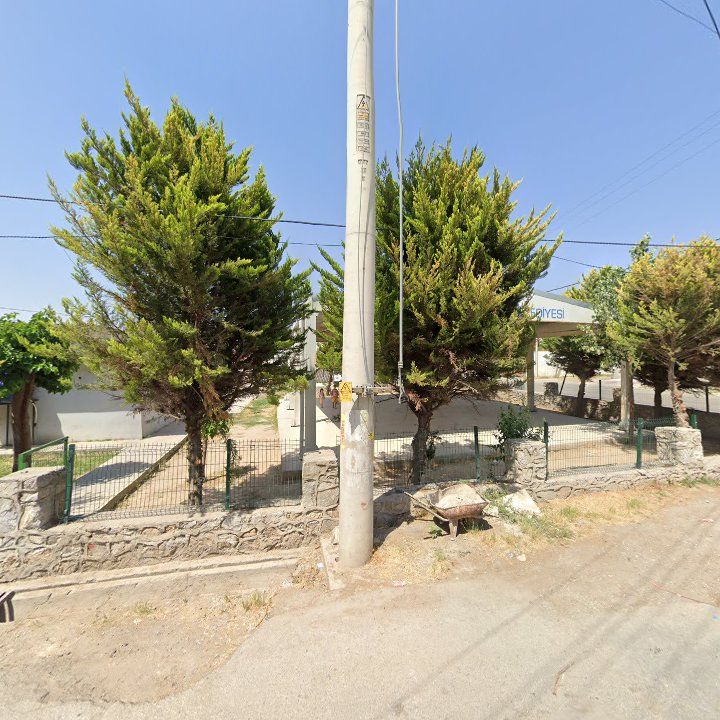 Fotoğraf 3