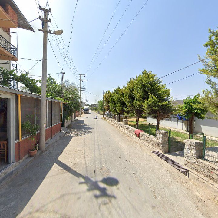 Fotoğraf 2