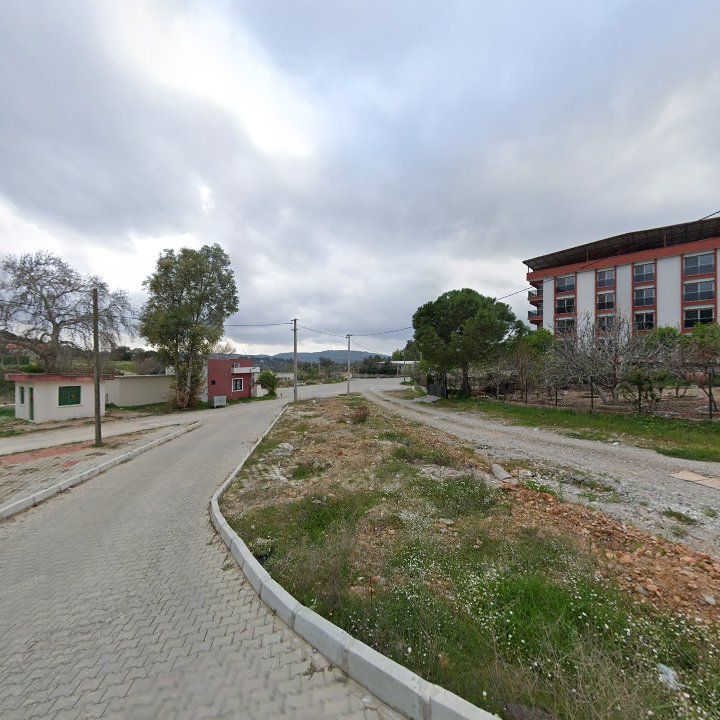 Fotoğraf 6