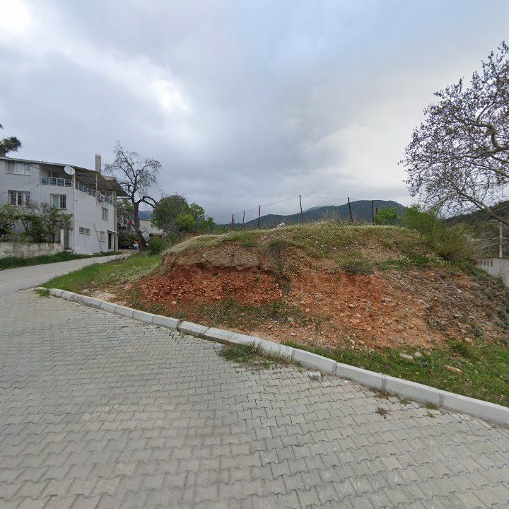 Fotoğraf 8