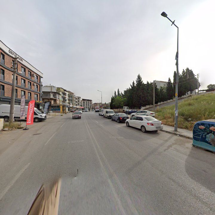 Fotoğraf 7