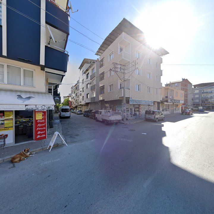 Fotoğraf 2