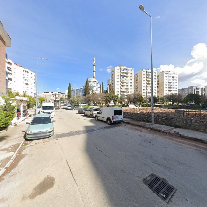 Fotoğraf 8