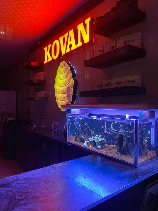 Kovan Baklava & Künefe