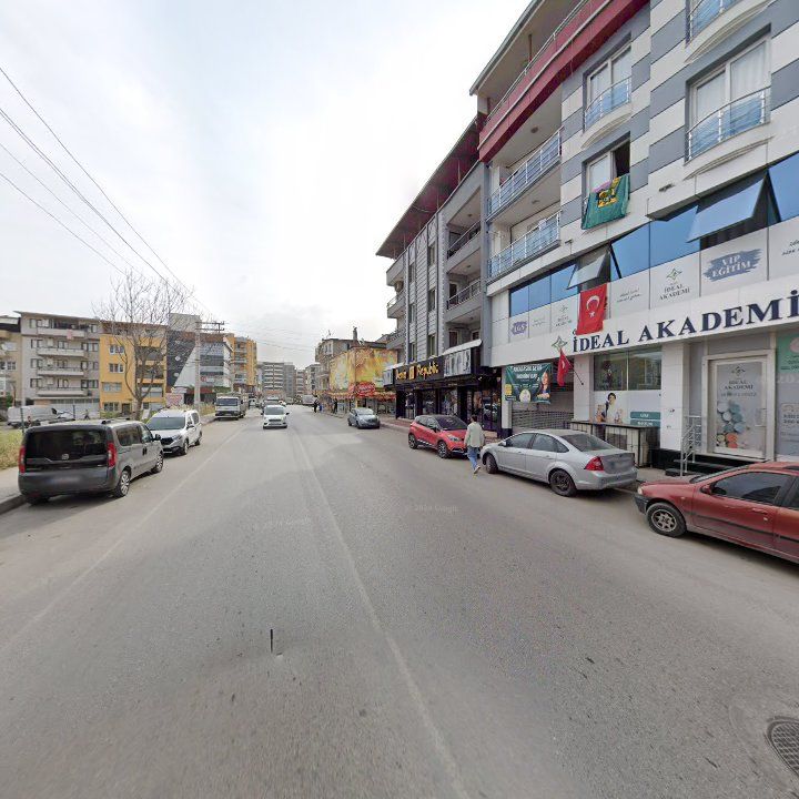 Fotoğraf 8