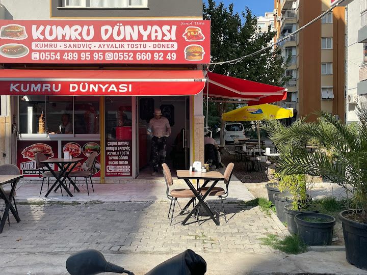Kumru dünyası