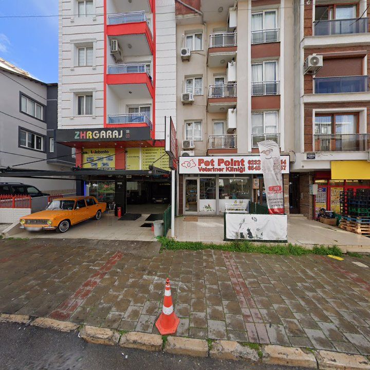 Fotoğraf 7