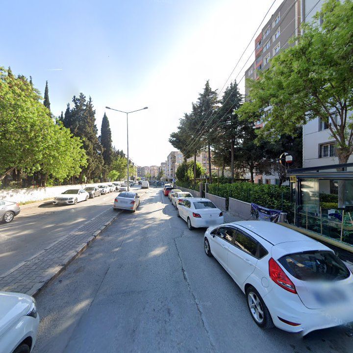 Fotoğraf 12