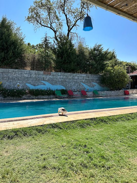 Lavieen rose kahvaltı evi