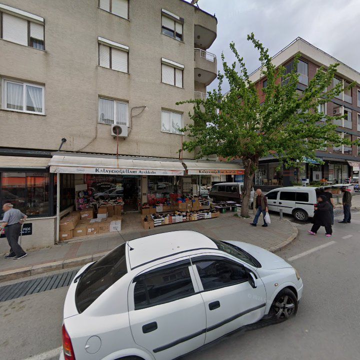 Fotoğraf 7