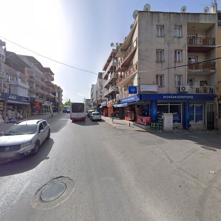 Fotoğraf 7