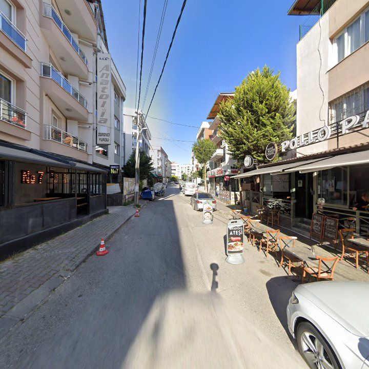 Fotoğraf 8