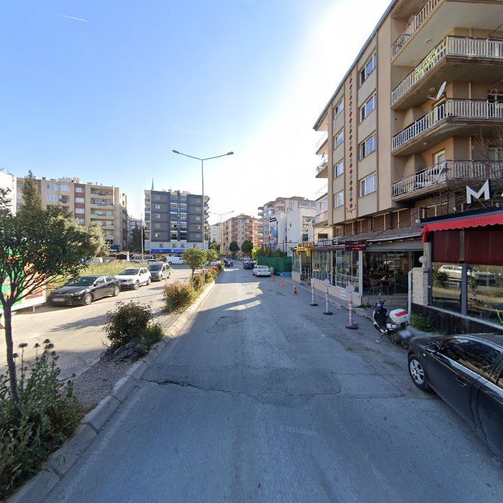 Fotoğraf 10