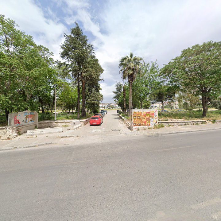 Fotoğraf 13