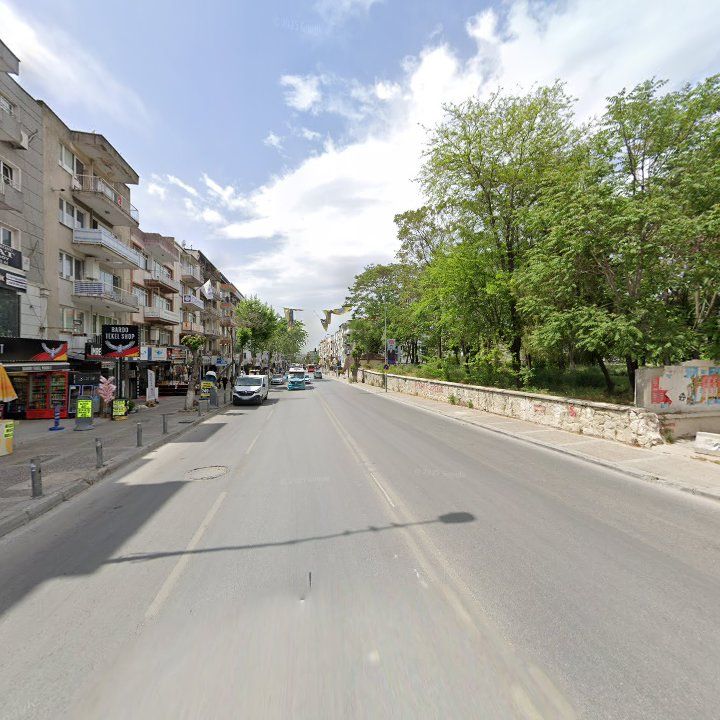 Fotoğraf 12