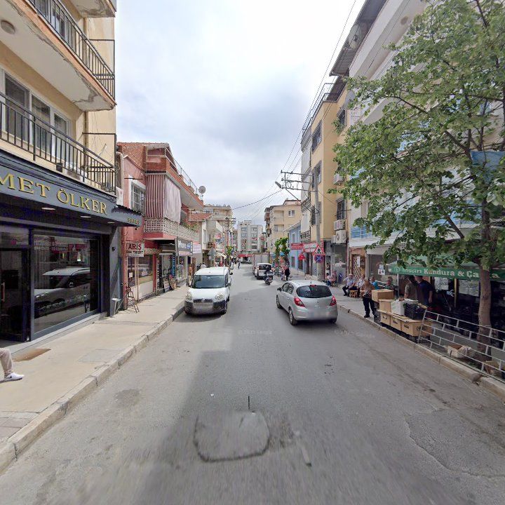 Fotoğraf 11