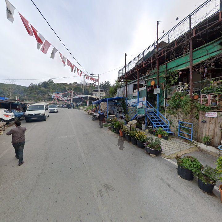 Fotoğraf 8