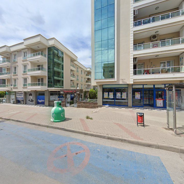 Fotoğraf 8