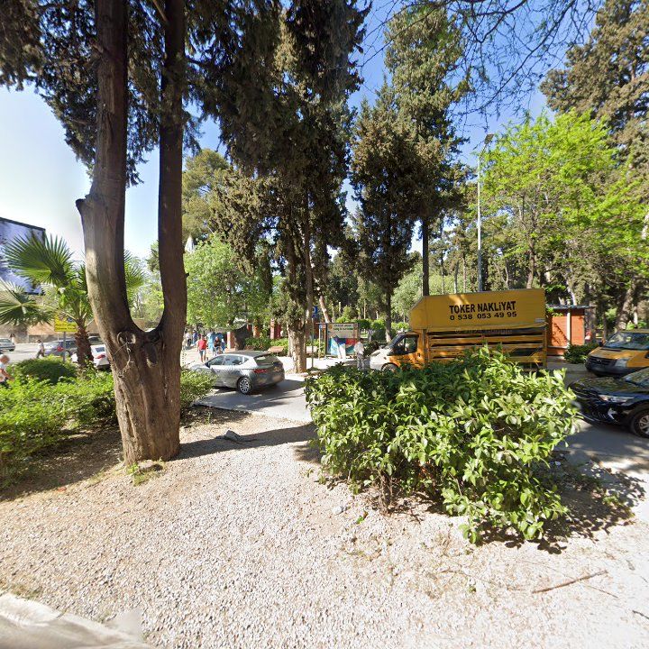 Fotoğraf 6