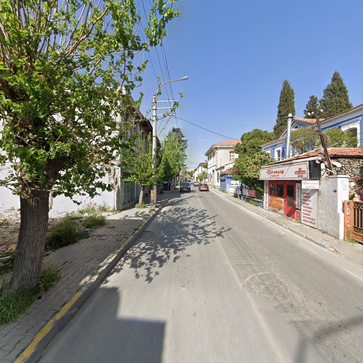 Fotoğraf 12