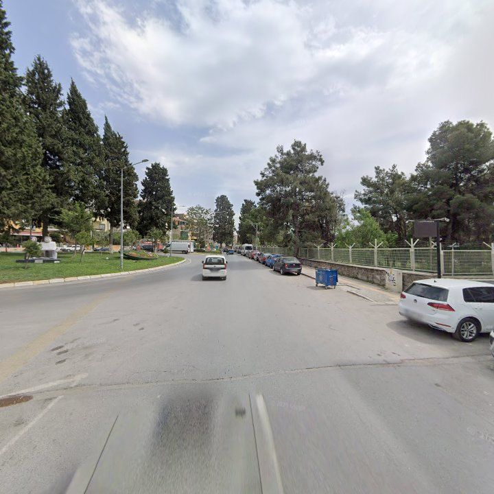Fotoğraf 8