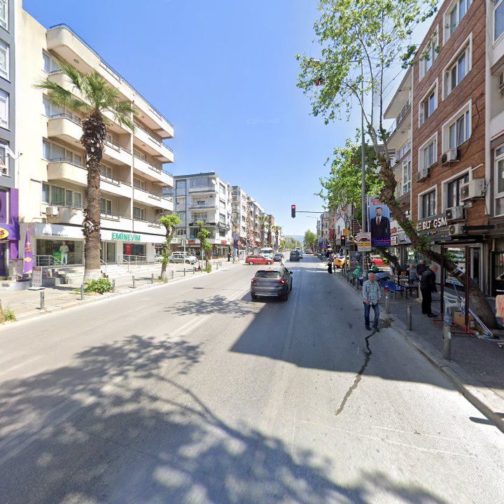 Fotoğraf 12