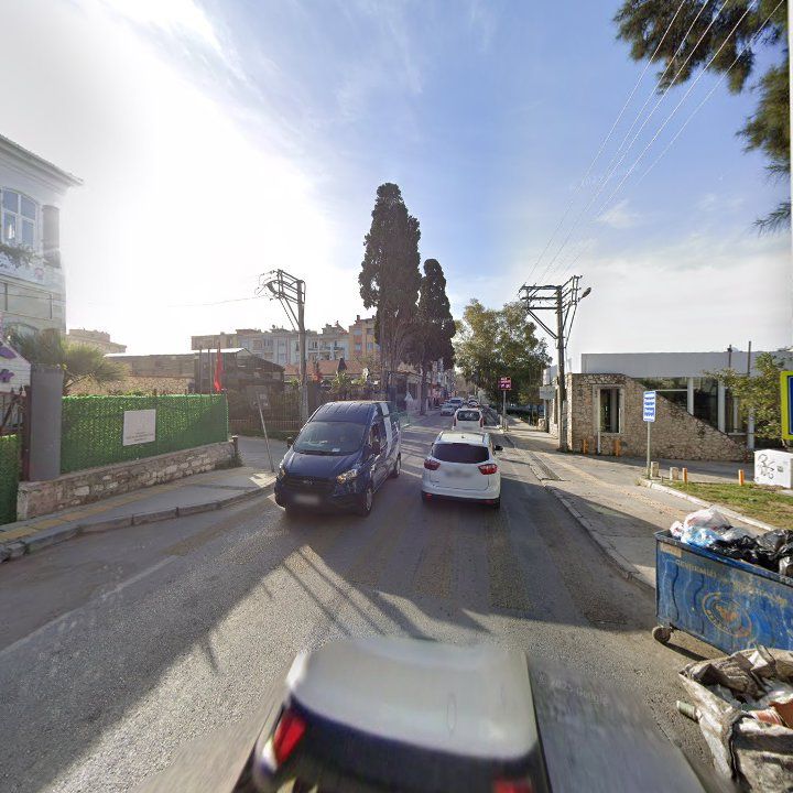 Fotoğraf 10