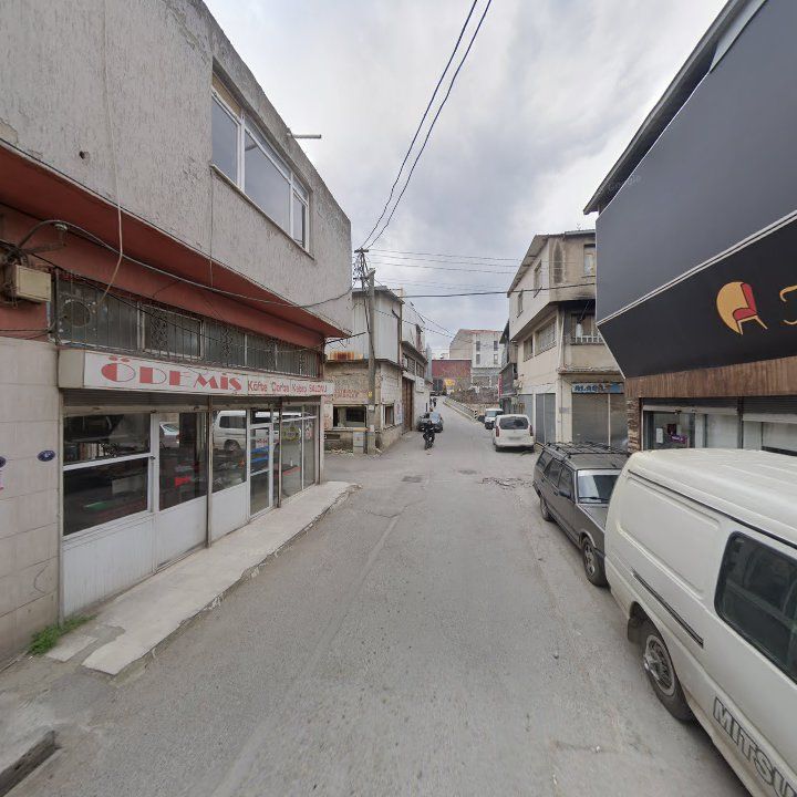 Fotoğraf 3