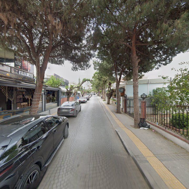 Fotoğraf 10