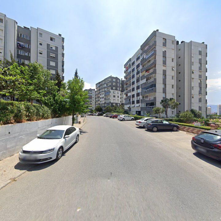 Fotoğraf 11