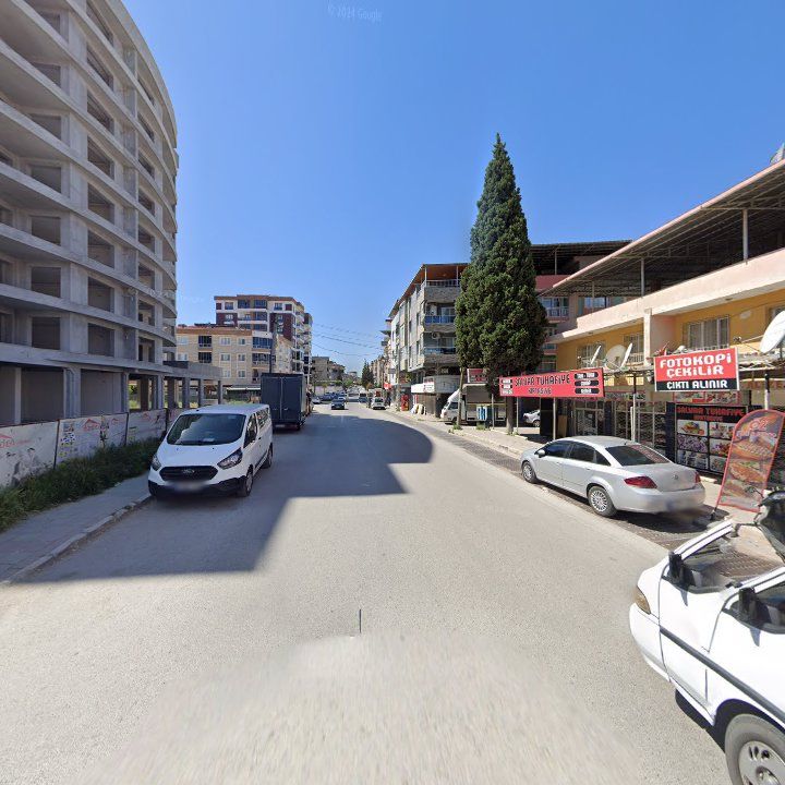 Fotoğraf 10