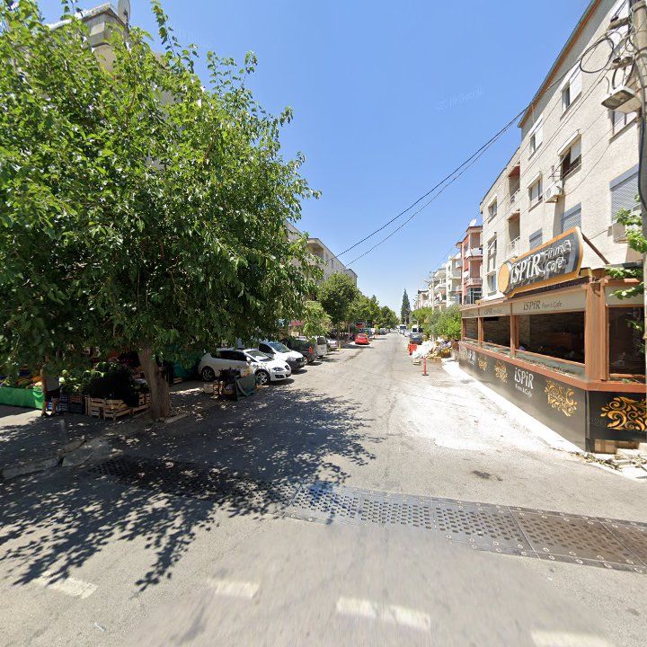 Fotoğraf 9