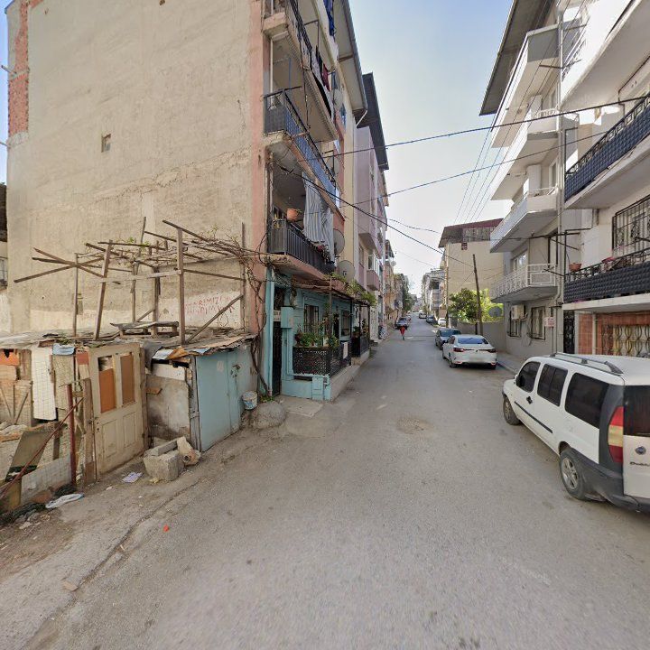 Fotoğraf 10