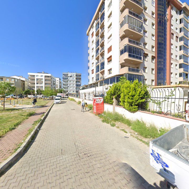 Fotoğraf 8