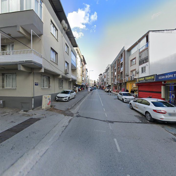 Fotoğraf 6
