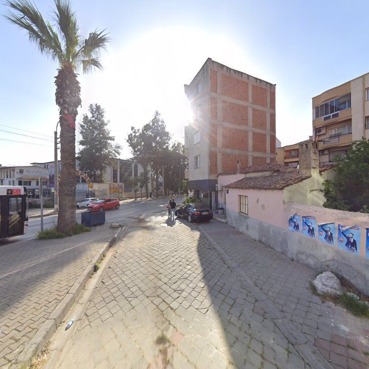 Fotoğraf 10