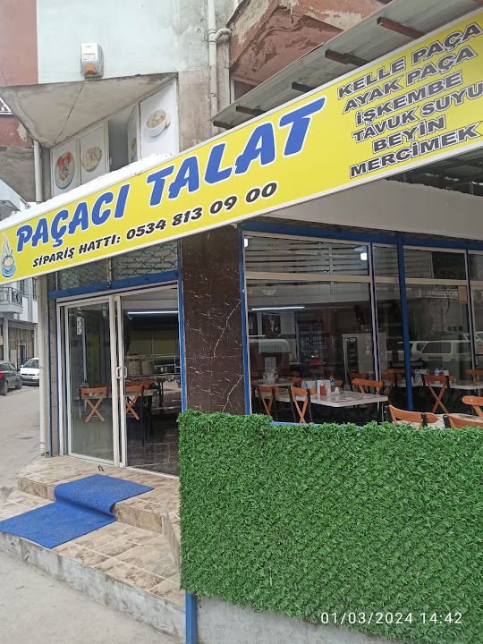 Paçacı Talat