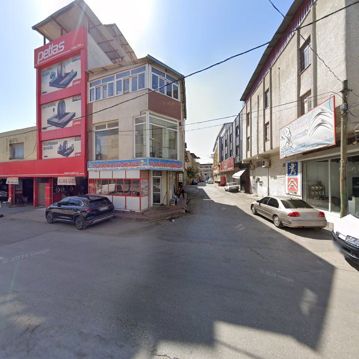 Fotoğraf 6