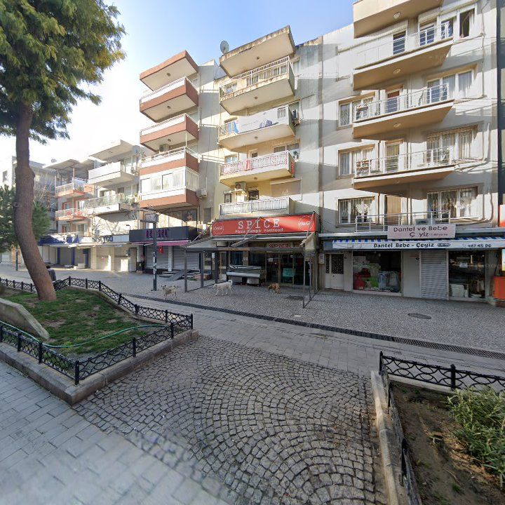 Fotoğraf 10
