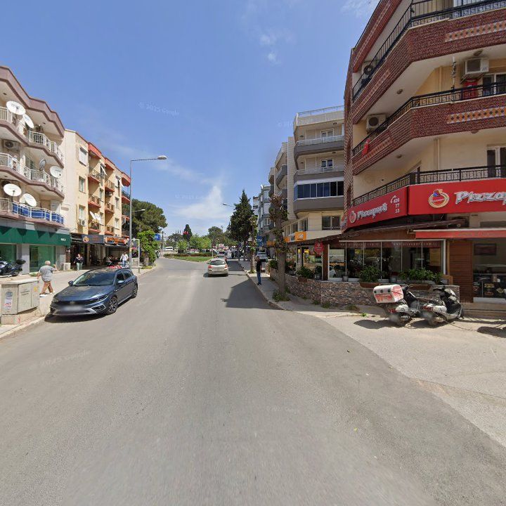 Fotoğraf 7