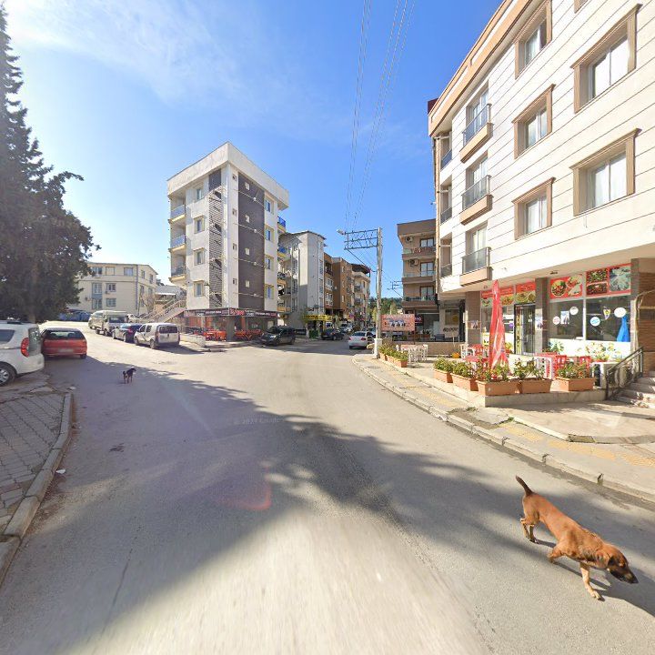 Fotoğraf 7