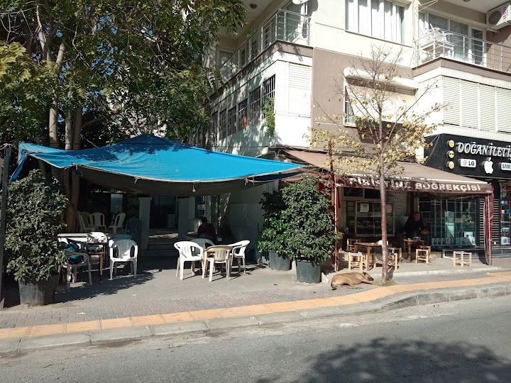 Piriştine böğrekçisi