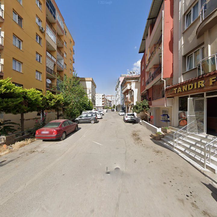 Fotoğraf 6