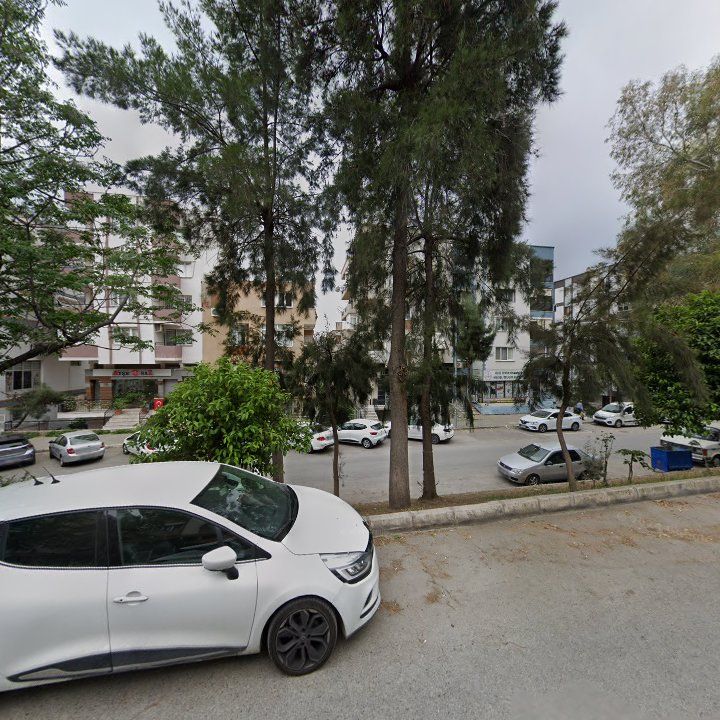 Fotoğraf 8