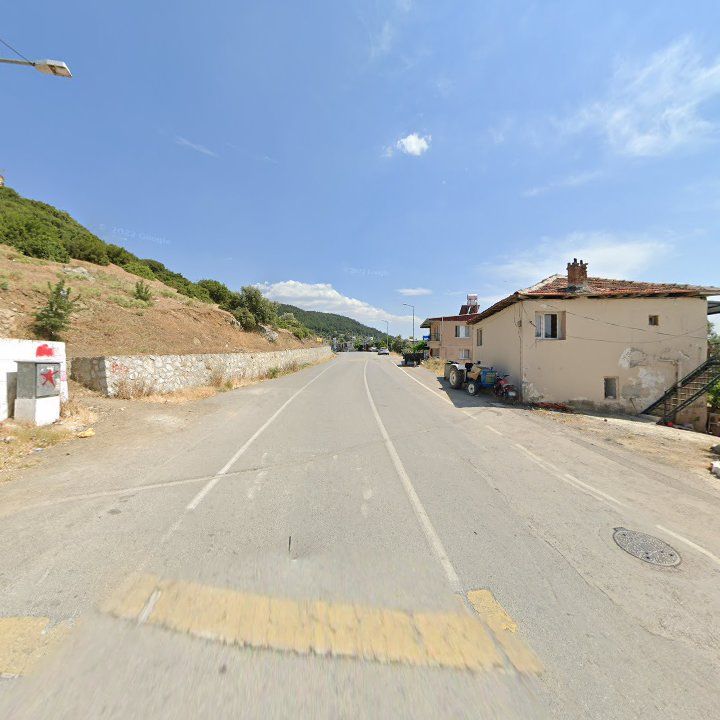 Fotoğraf 12